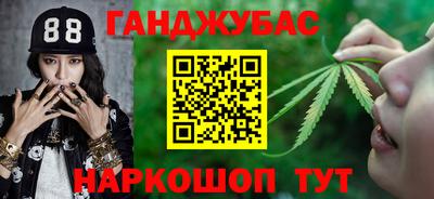 крисы Гай