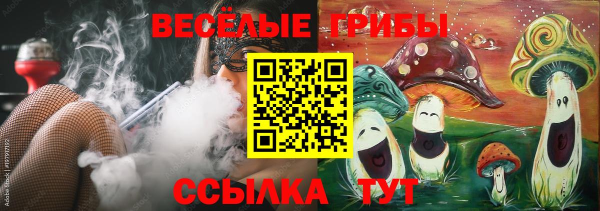 Галлюциногенные грибы GOLDEN TEACHER Заинск