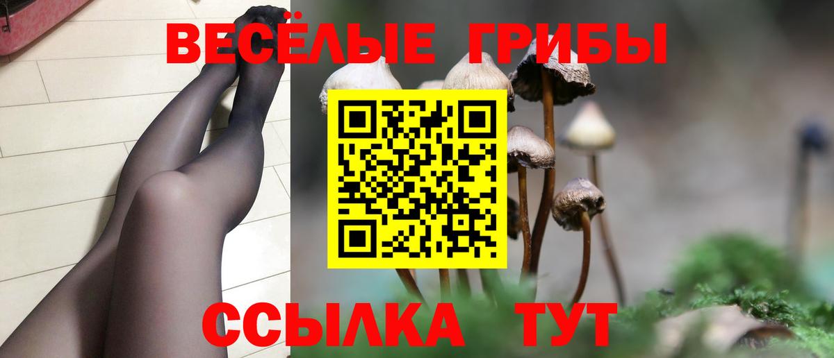 Заинск  Псилоцибиновые грибы мицелий  Вход с VPN 